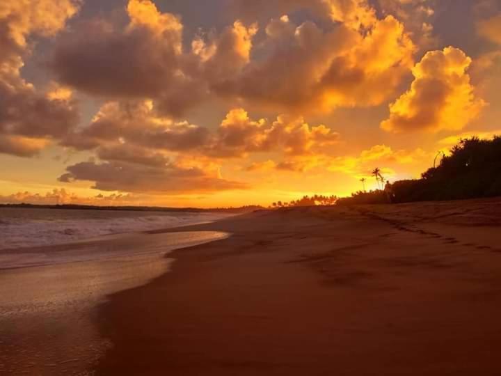 Star Sun Homestay Tangalle Dış mekan fotoğraf