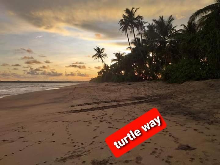 Star Sun Homestay Tangalle Dış mekan fotoğraf